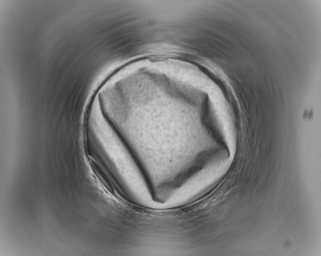 X0000094911488200712201145