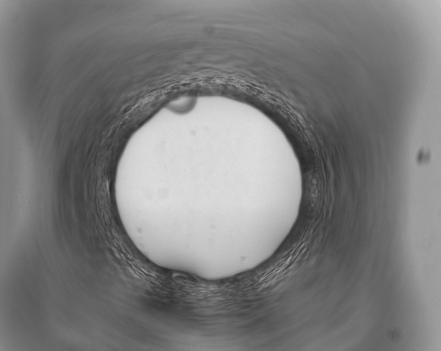 X0000094911489200712201145