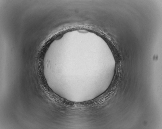 X0000094911496200712201145