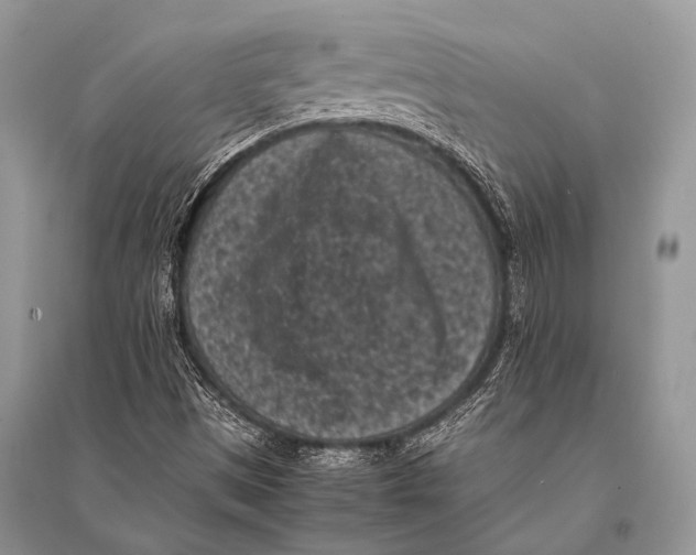 X0000094911497200712201145
