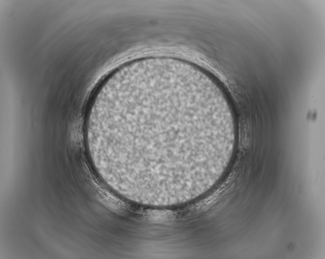 X0000094911498200712201145