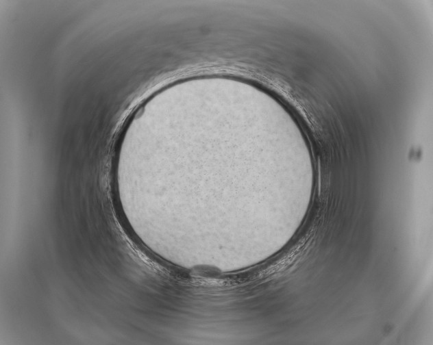 X0000094911500200712201145