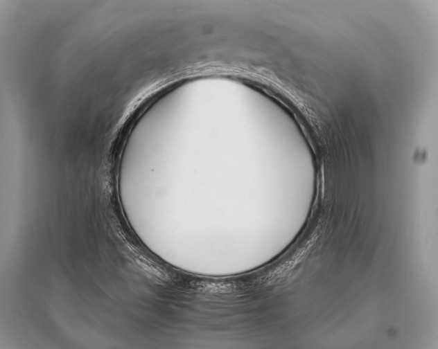 X0000094911501200712201145