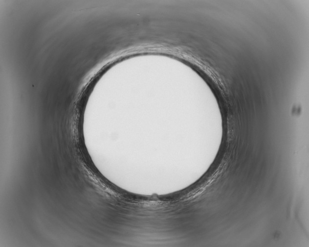 X0000094911502200712201145