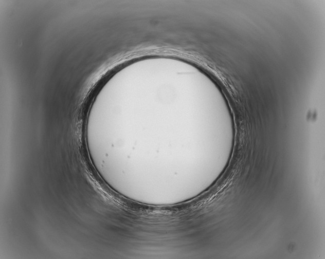 X0000094911503200712201145