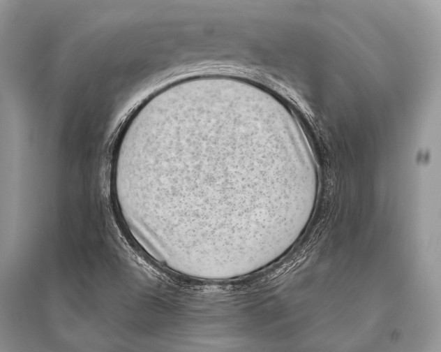 X0000094911504200712201145