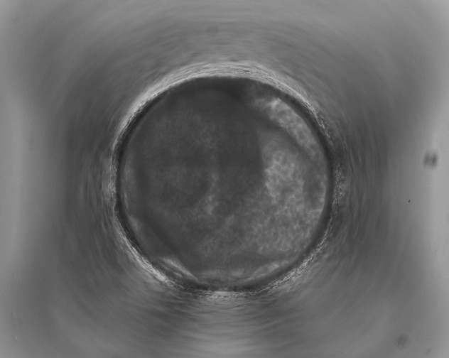 X0000094911506200712201145