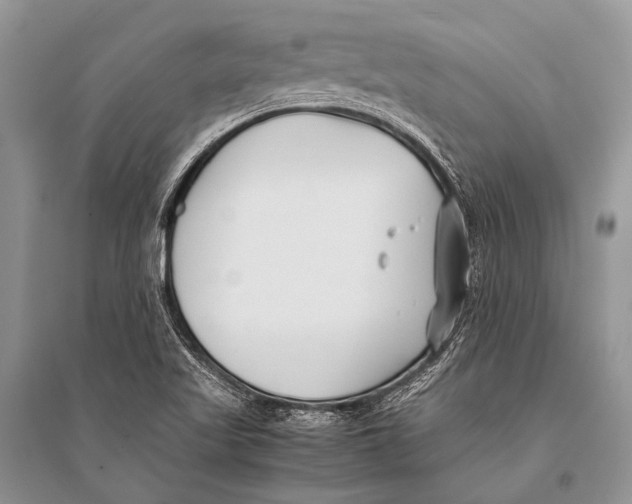 X0000094911509200712201145