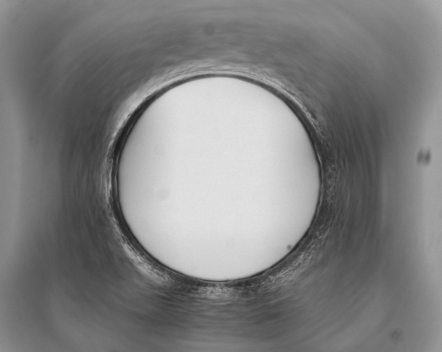X0000094911511200712201145