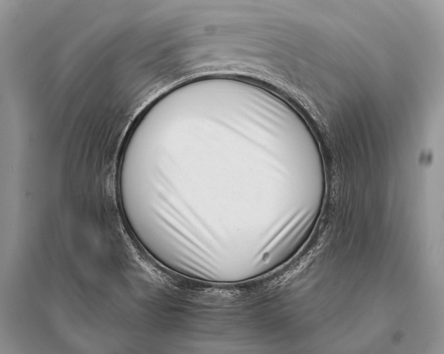 X0000094911513200712201145