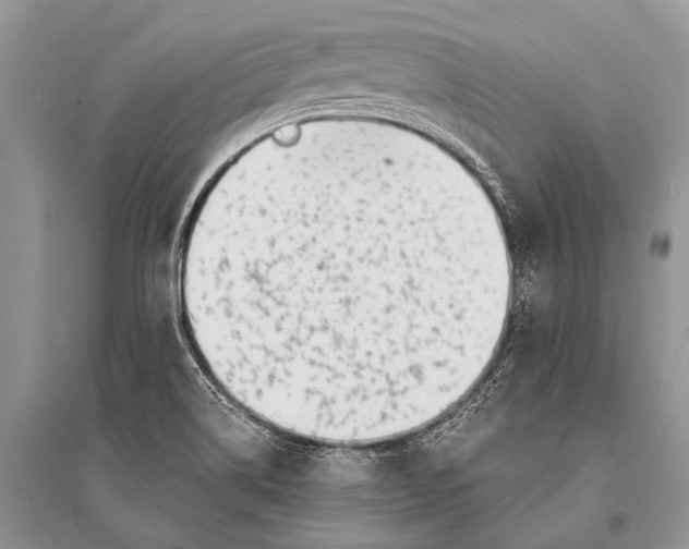 X0000094911514200712201145