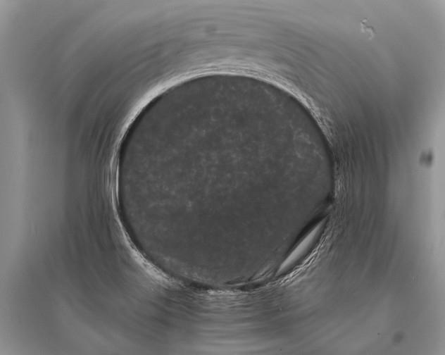 X0000094911515200712201145