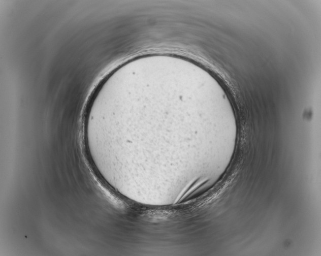 X0000094911517200712201145