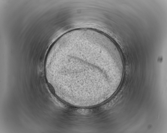 X0000094911521200712201145