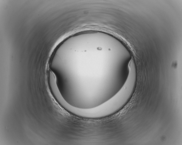 X0000094911522200712201145