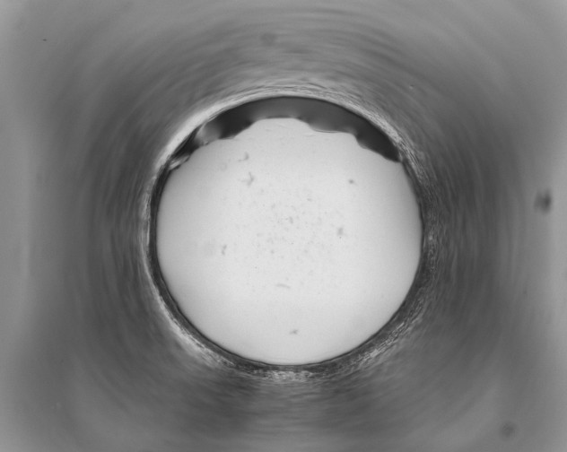 X0000094911523200712201145