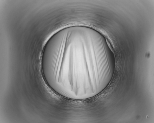 X0000094911524200712201145