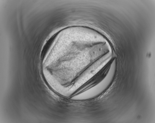 X0000094911525200712201145