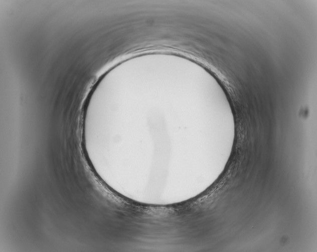X0000094911526200712201145