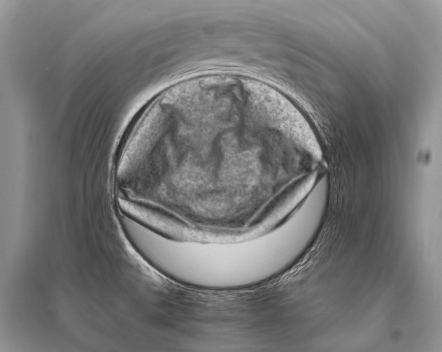 X0000094911527200712201145