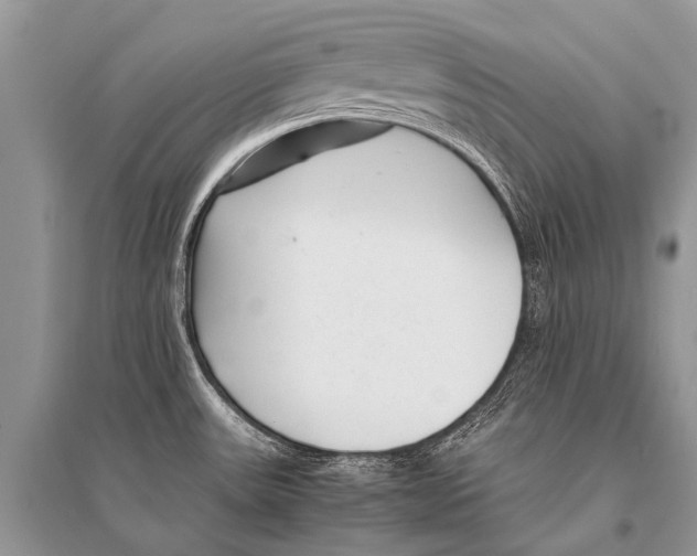 X0000094911531200712201145