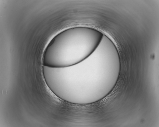 X0000094911532200712201145