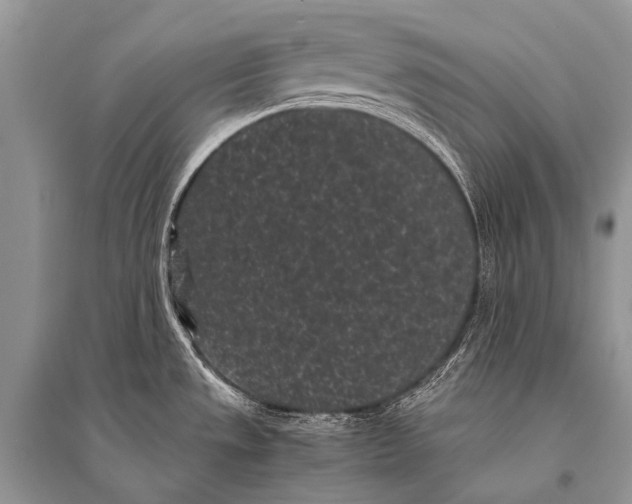 X0000094911533200712201145