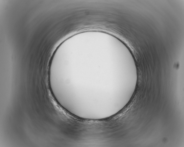 X0000094911534200712201145