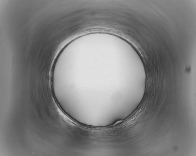 X0000094911535200712201145