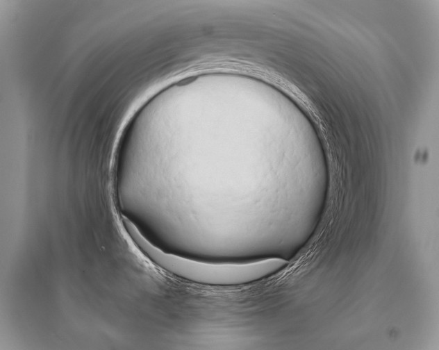 X0000094911536200712201145