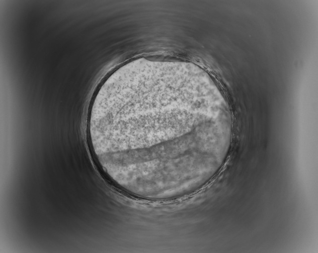 X0000094910003200712271522