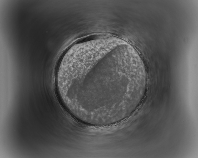 X0000094910005200712271522