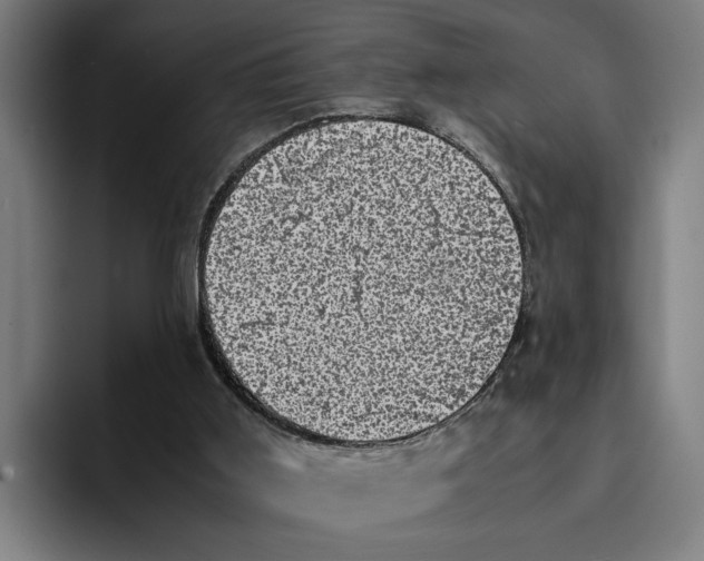 X0000094910011200712271522