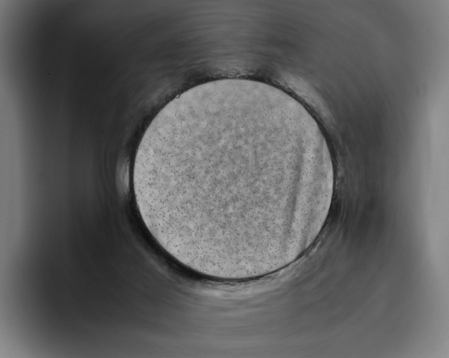 X0000094910021200712271522