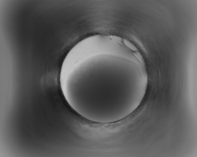 X0000094910023200712271521