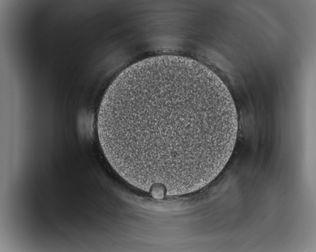 X0000094910024200712271521