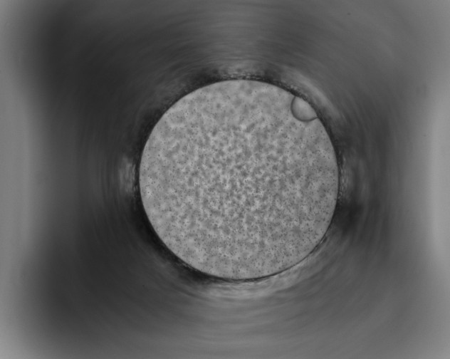 X0000094910025200712271521