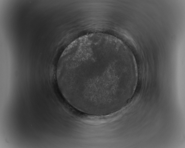 X0000094910029200712271521