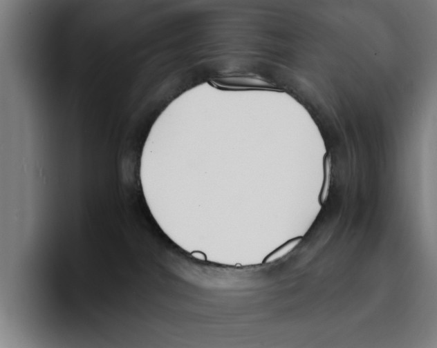 X0000094910044200712271521