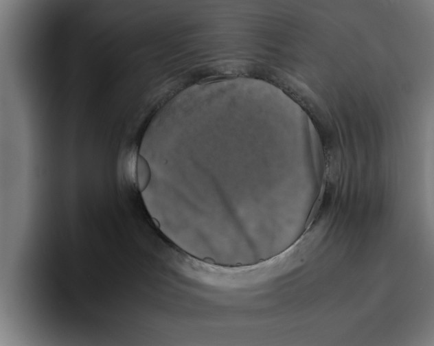 X0000094910047200712271521