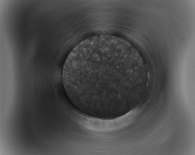 X0000094910048200712271521