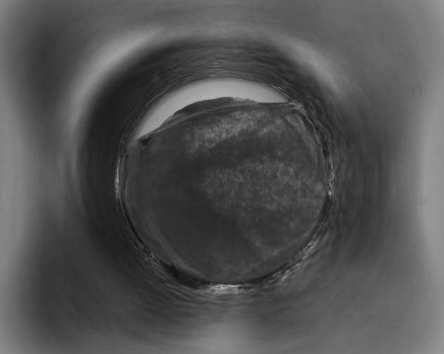 X0000094910052200712271521