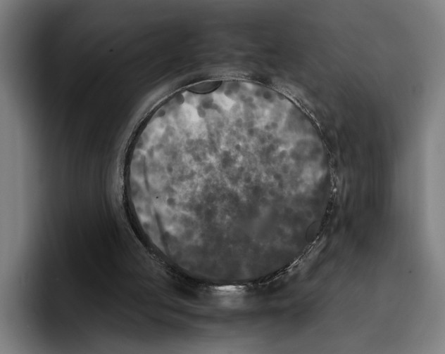 X0000094910053200712271521