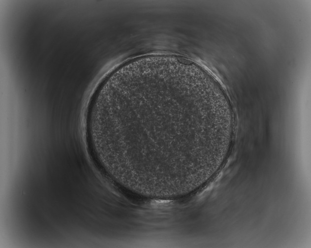 X0000094910055200712271521