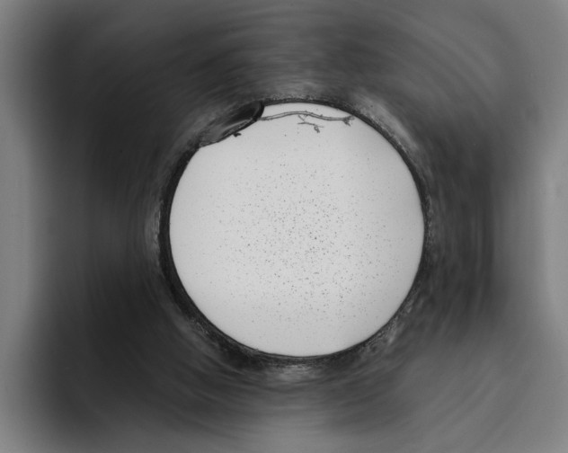 X0000094910058200712271521