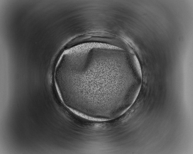 X0000094910060200712271521