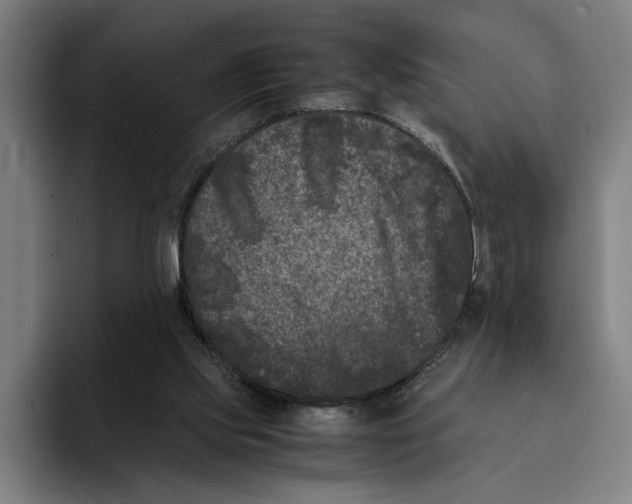 X0000094910061200712271521