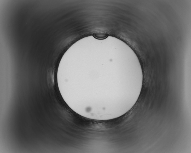 X0000094910062200712271521