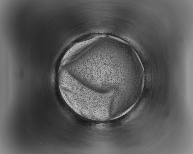 X0000094910064200712271521