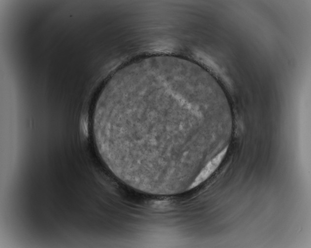 X0000094910068200712271521